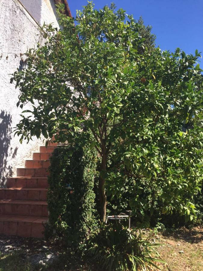 Ghirindoun Apartment Celle Ligure Exterior photo